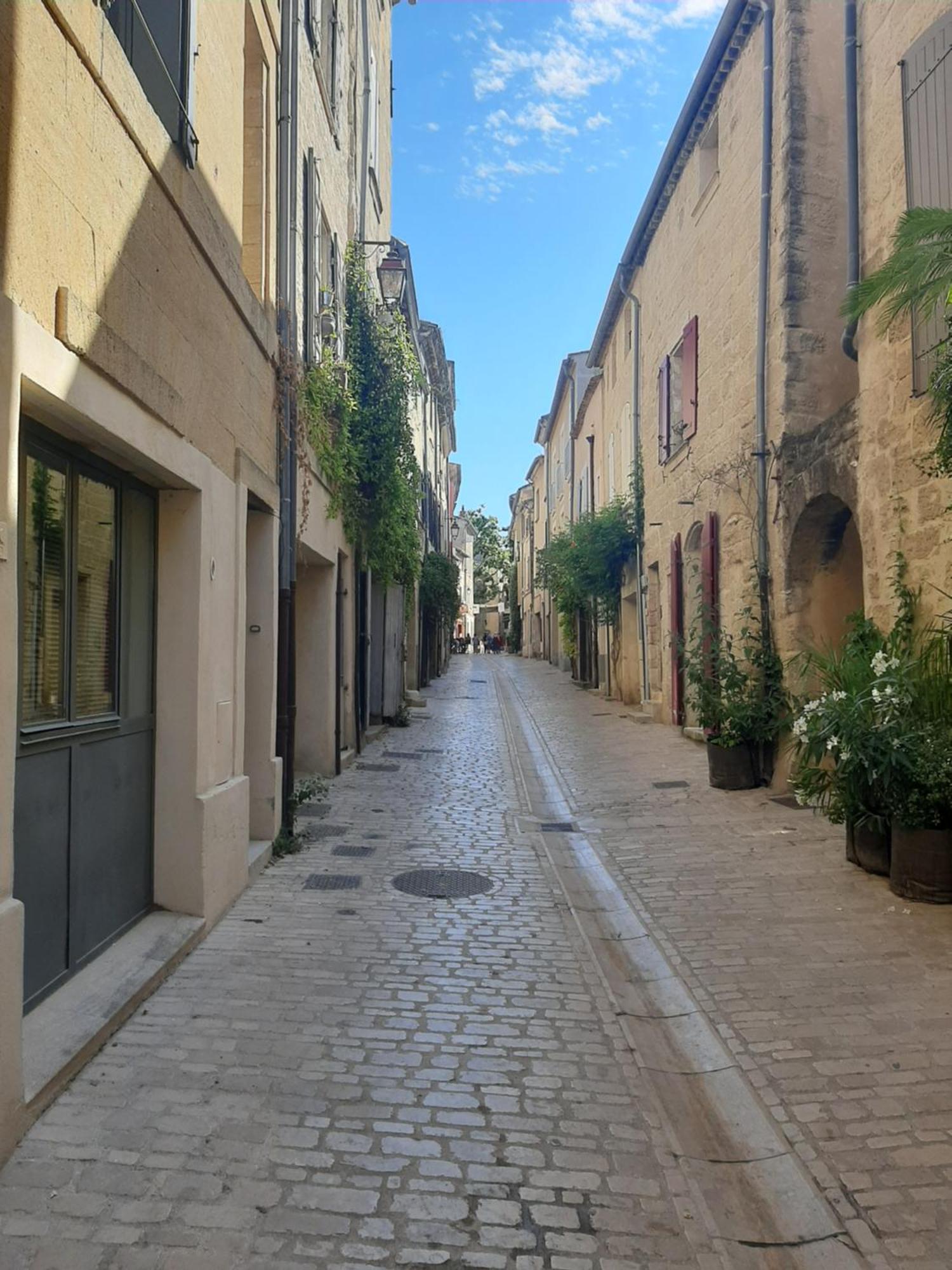Appartement Avec Grand Jardin Et Parking, Uzès المظهر الخارجي الصورة